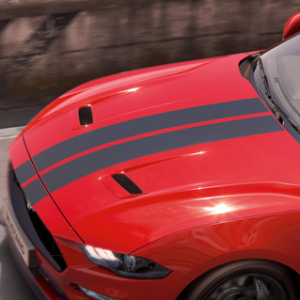 potisk herpa* Dirkaške črte mat črne barve